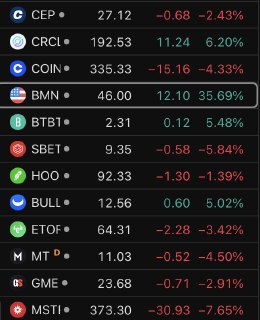 🚨 BREAKING : "La mania delle crypto stocks nel 2025: alta volatilità e poca azione sulle altcoin!"