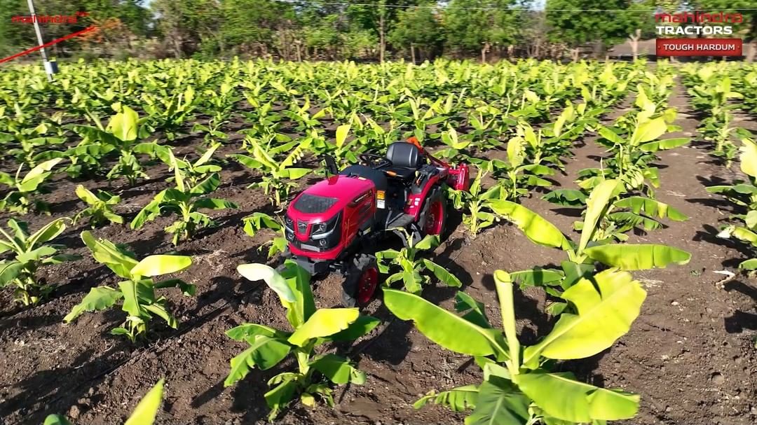 Presenting the Mahindra OJA 2121 tractor, designed specifically for your banana farms. Its compact size and advanced fea...