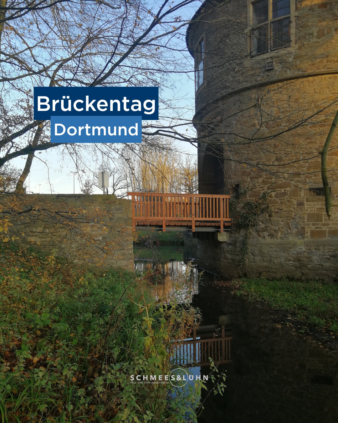 Donnerstag ist Brückentag – und heute befinden wir uns in Dortmund! Im idyllischen Rombergpark steht ein ganz besonderes...