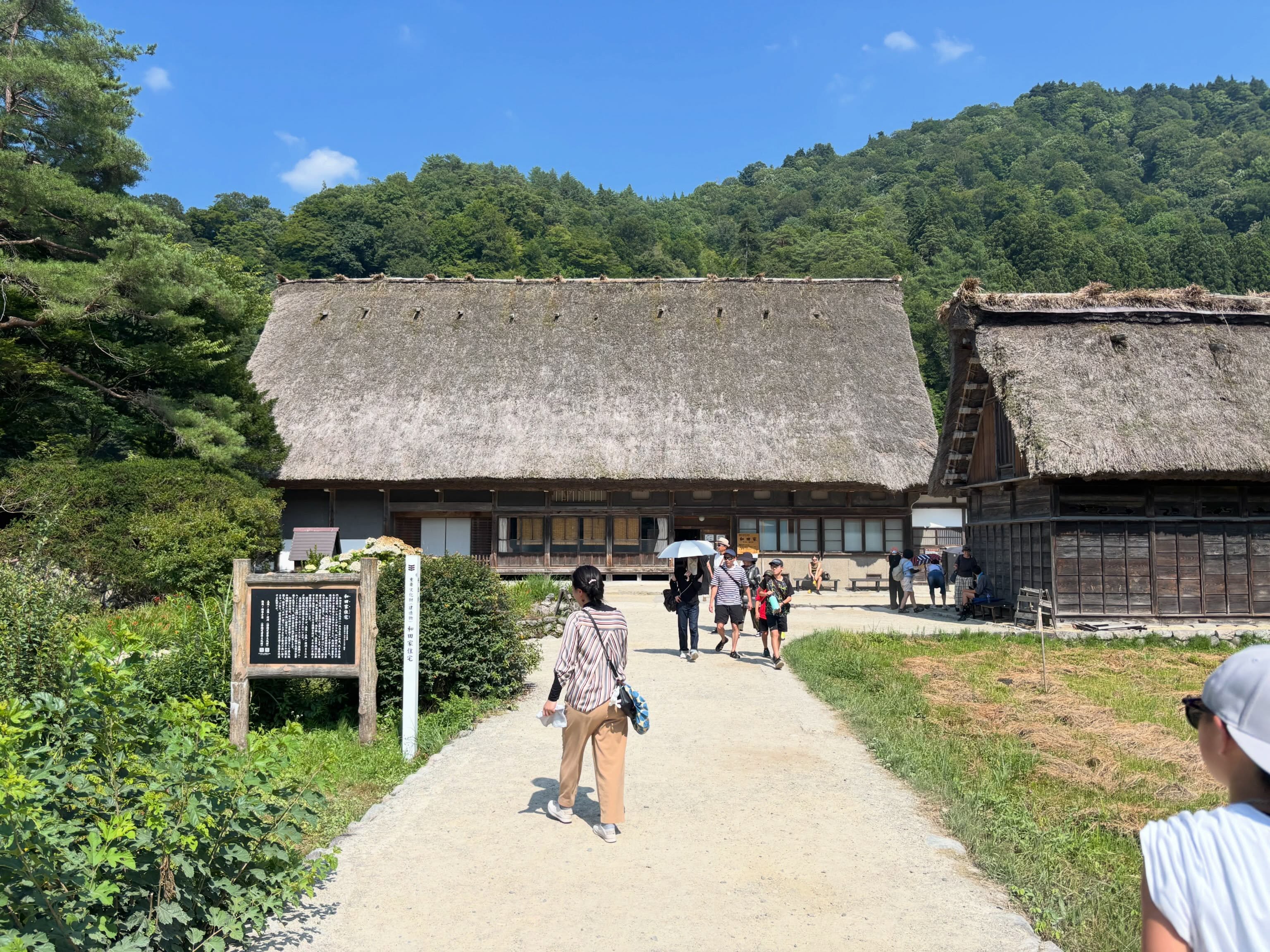 活動歴および当時の関連ビジュアル記録