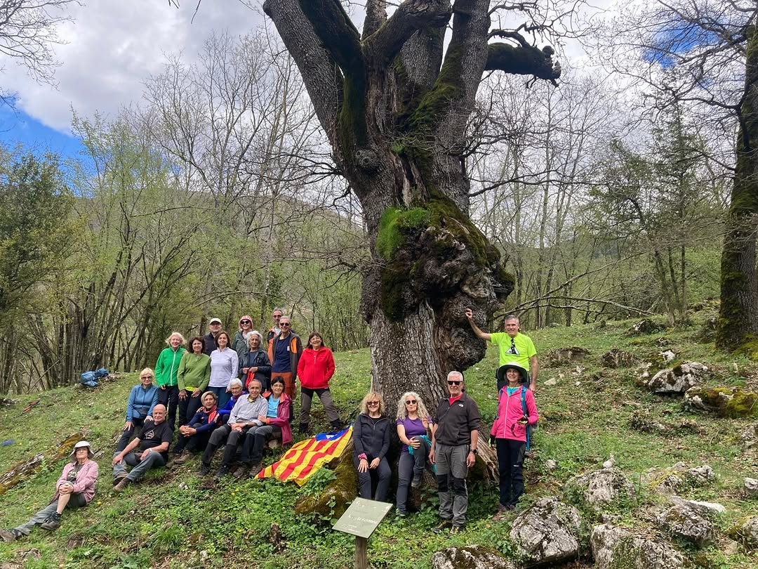 Sortida de la secció de muntanya: Campdevànol – Sant Julià de Saltor– Bruguera - Ribes de Freser.

Recorregut: Campdevànol, ermita de Sant Grau, Sant Julià de Saltor, Bruguera, Sant Esteve de Perramon, Ribes de Freser.

Desnivell positiu: 811 m i negatiu 576 m