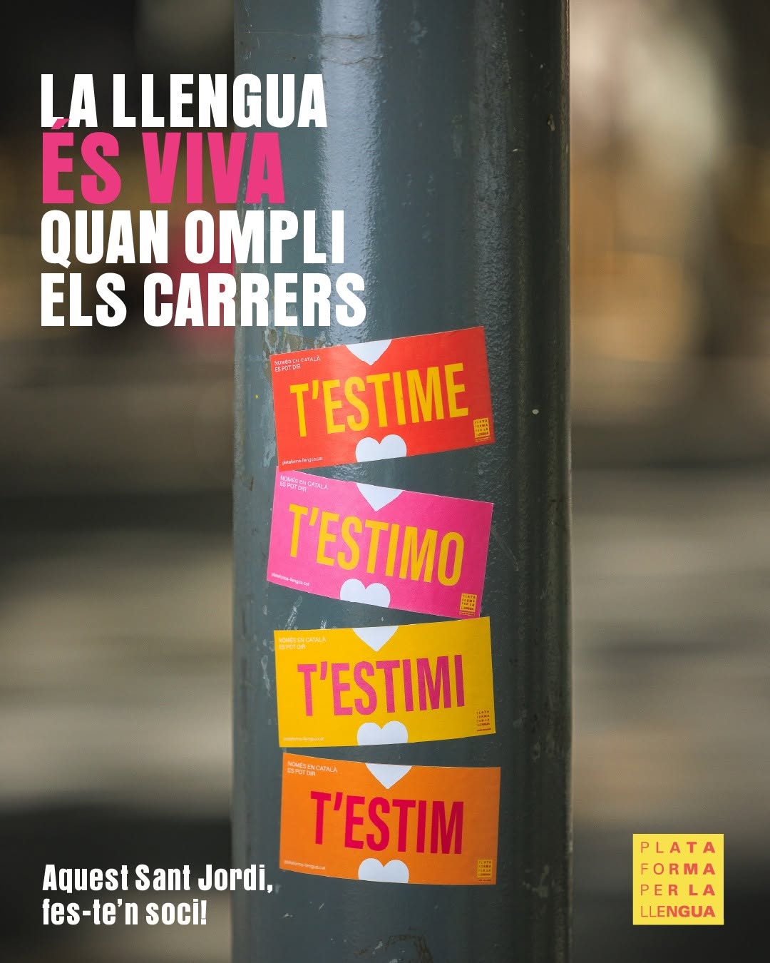 Perquè la llengua és viva quan ompli els carrers, aquest #SantJordi2025, i cada dia, omplim-los de vida! 🌹

✨ Passa a l'acció per la llengua amb nosaltres! ✨

Bon #SantJordi2025 a tothom! 💛