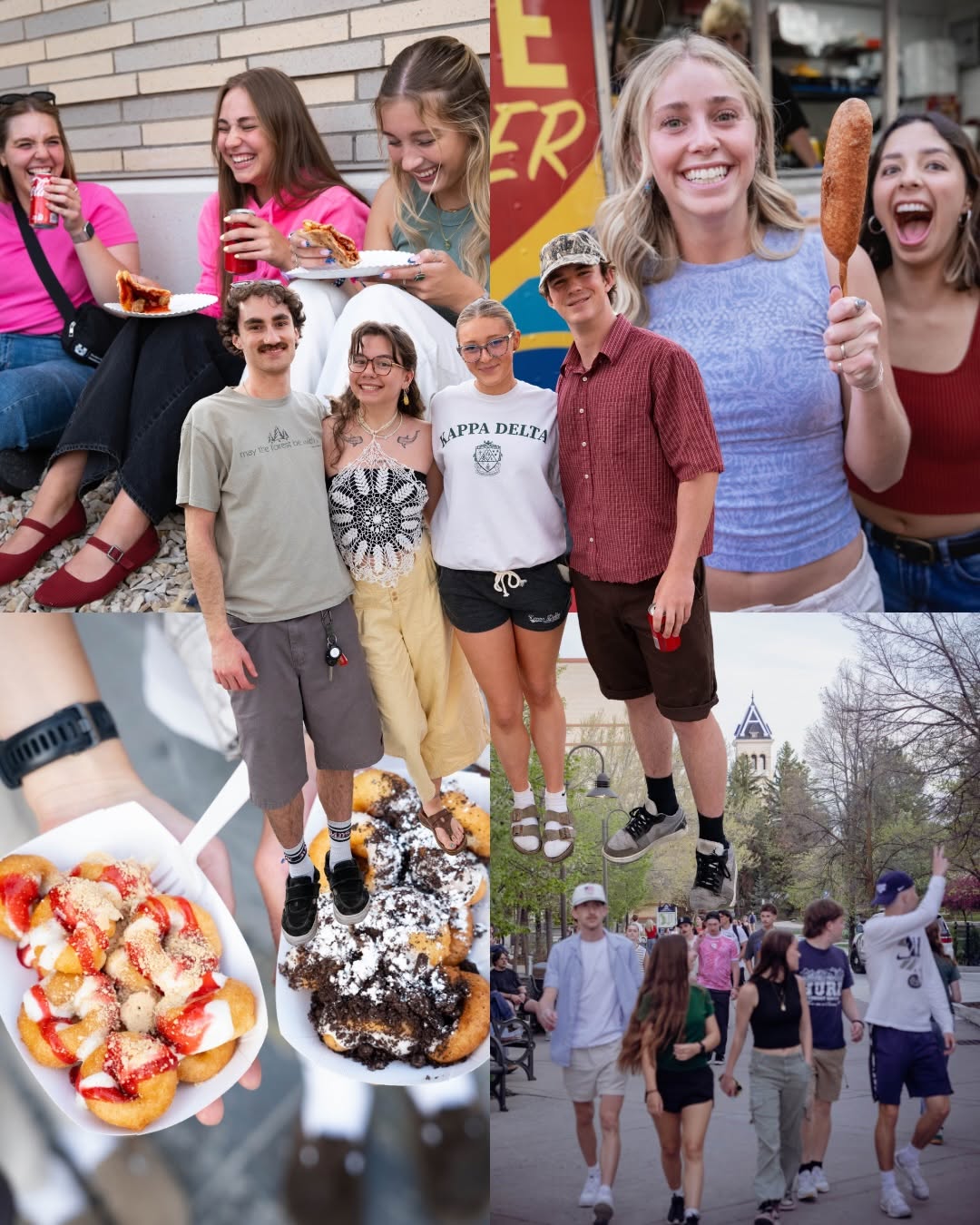 Utah State University