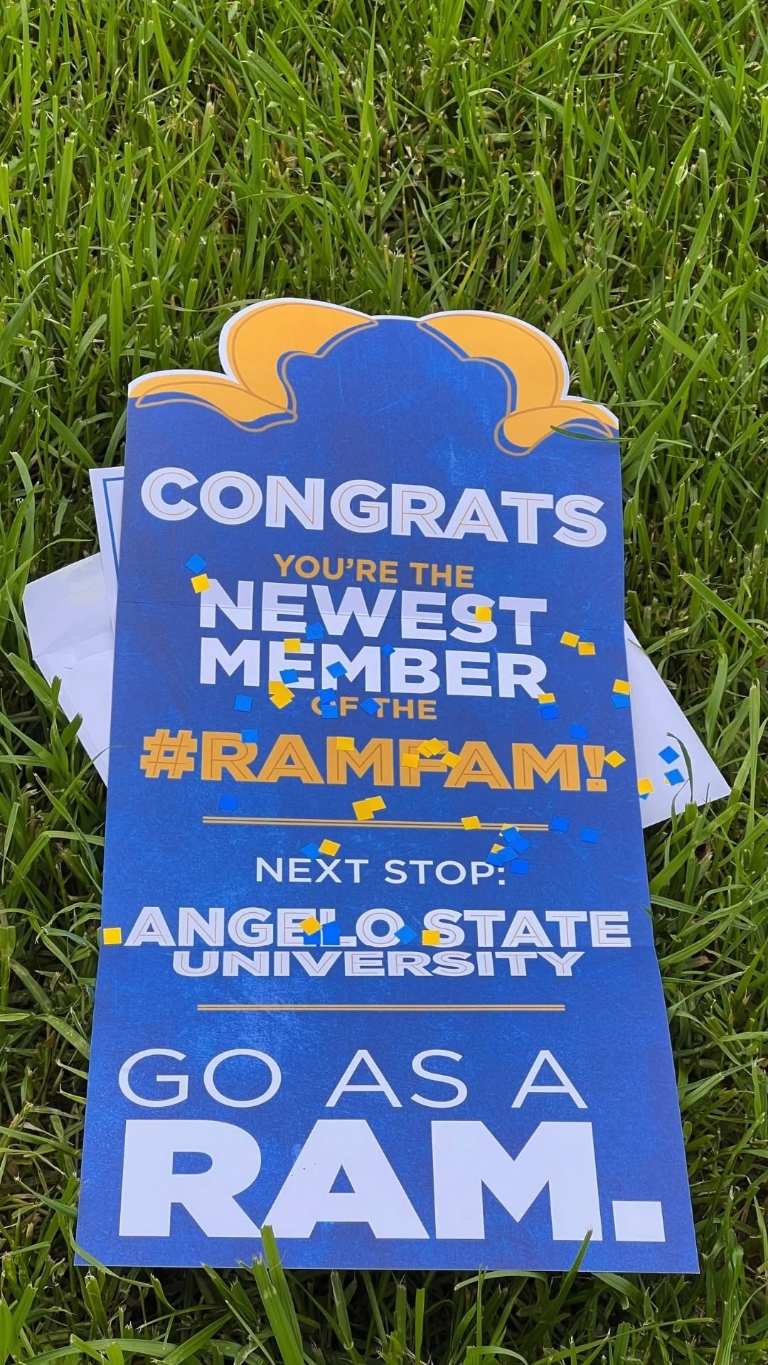 RamPort