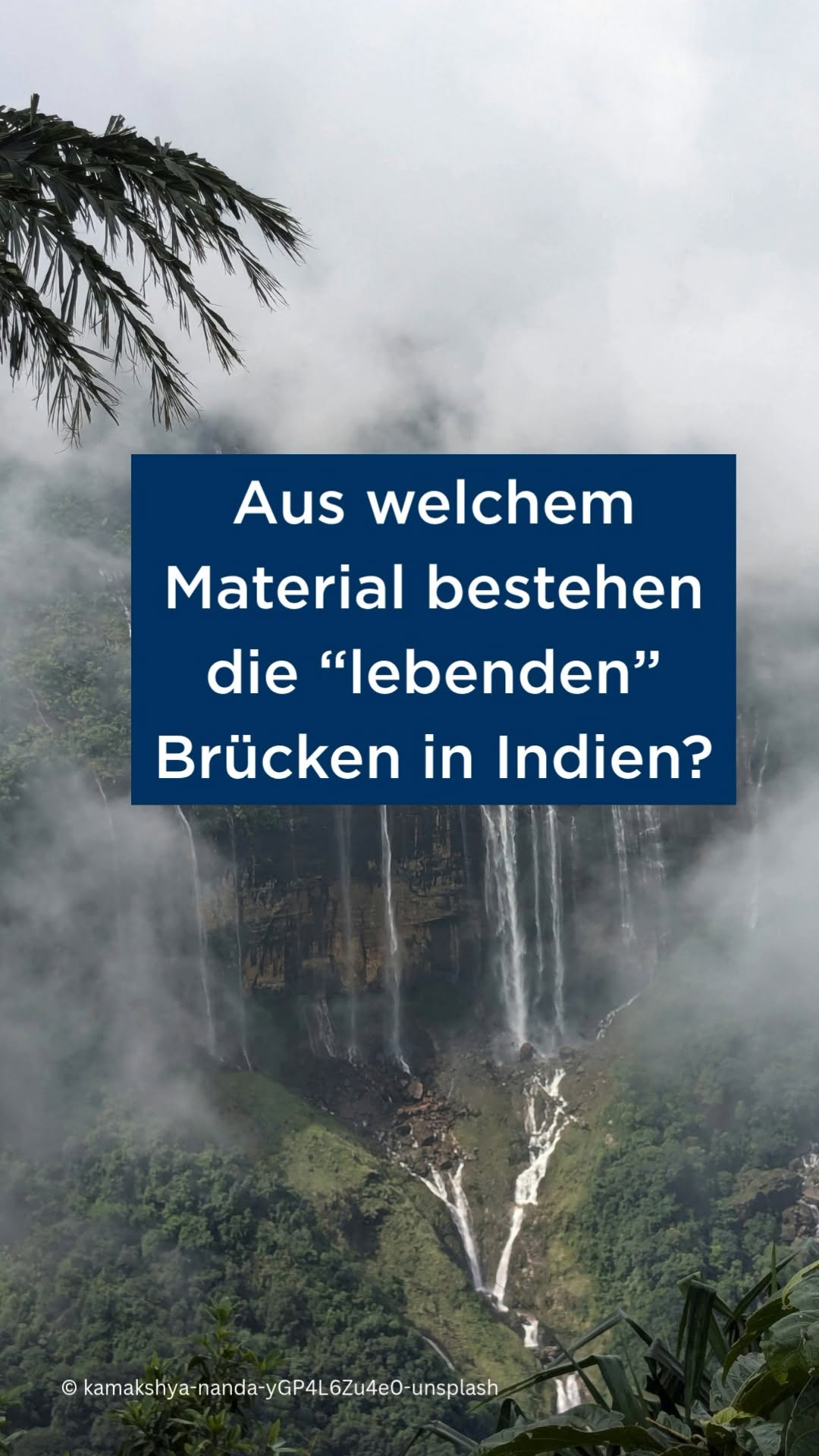 Was glaubt ihr, aus welchem ungewöhnlichen „Baumaterial“ diese Brücke besteht? 🤔 Es ist echtes Teamwork zwischen Mensch...