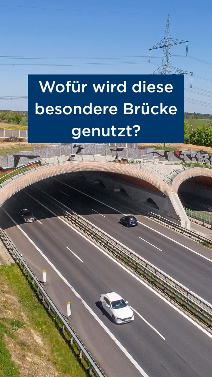 Stell dir eine Brücke vor, die sich direkt über eine vielbefahrene Autobahn spannt. Sie ist breit, komplett mit Bäumen u...