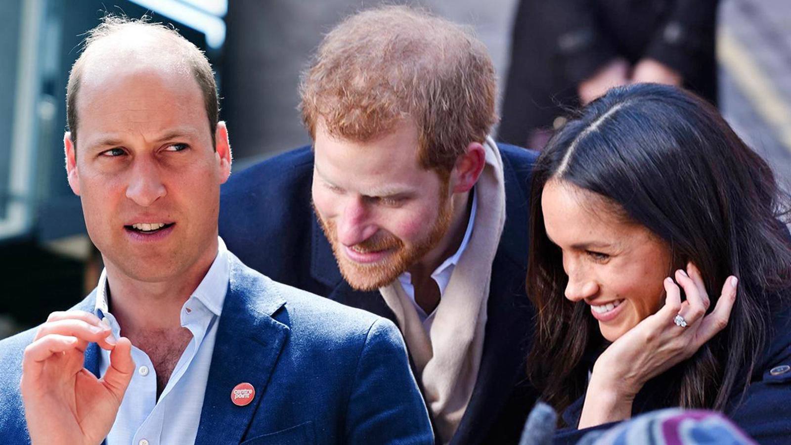 Harry s Meghan znovu vytočili Williama: Dianin odkaz chtějí proměnit v milionový projekt