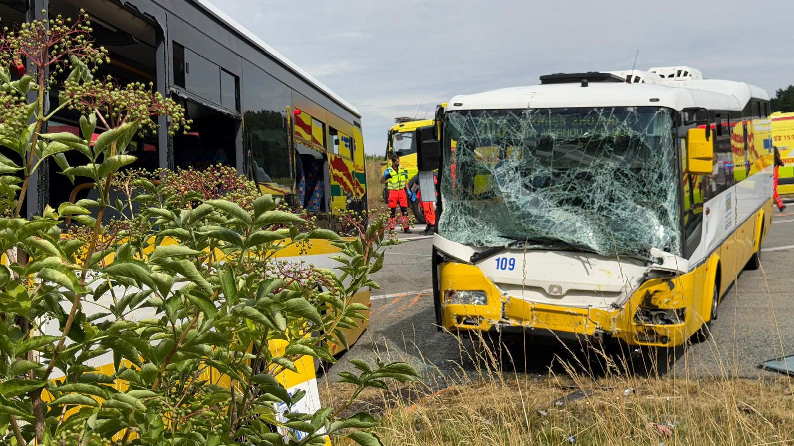 Hrůzná srážka autobusů u Oleksovic:  Nehoda má čtyřicet zraněných
