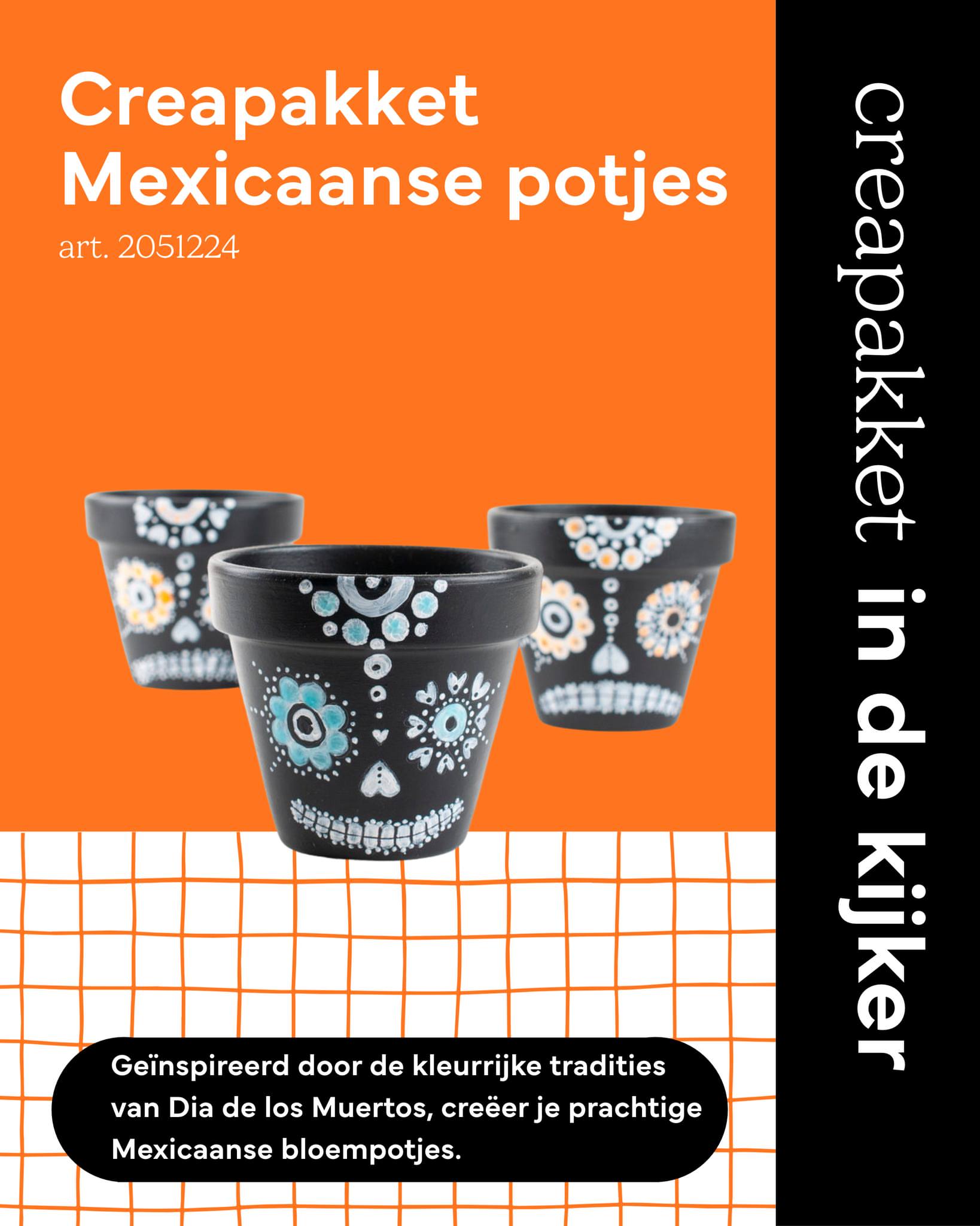 💀 Geef je creativiteit een kleurrijke twist met deze Mexicaanse potjes! 🌵🎨 Met dit creapakket maak je zelf unieke pot...